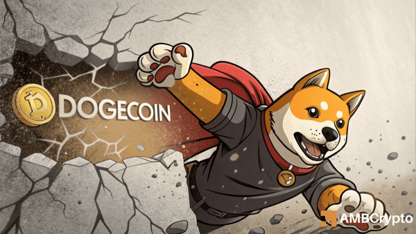 73% Dogecoin traders go long &ndash; Is the market too one-sided to sustain gains?