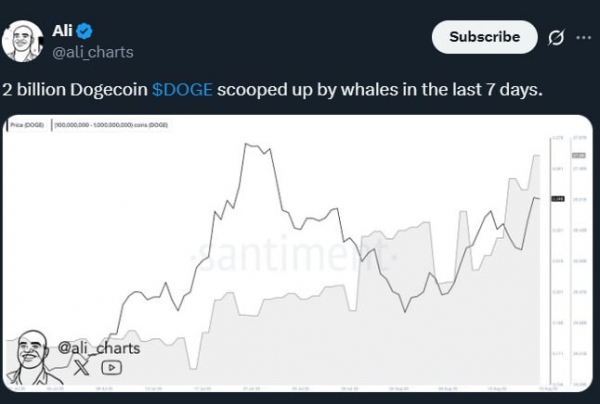Dogecoin price prediction &ndash;  Whales buy 200B DOGE as $0.30 rally looms!