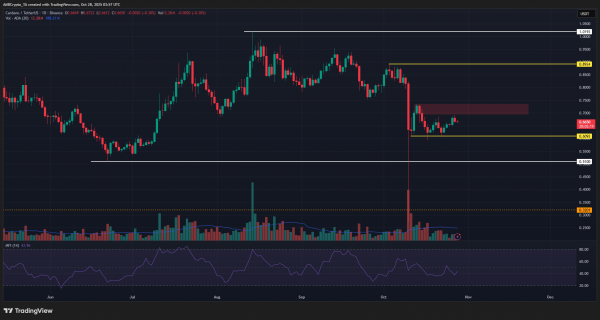 Cardano price prediction &ndash; Whales unlikely to send ADA&rsquo;s price soaring just yet!