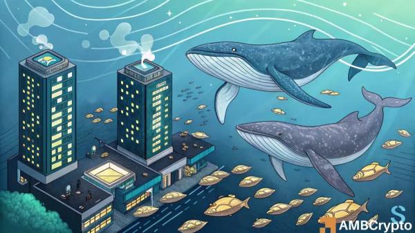 Solana’s $14mln whale move vs retail exit – Which side controls $130? Solana’s $14mln whale move vs retail exit – Which side controls $130?