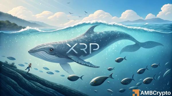 XRP whale behavior signals confidence despite first Spot ETF outflows &ndash; Details