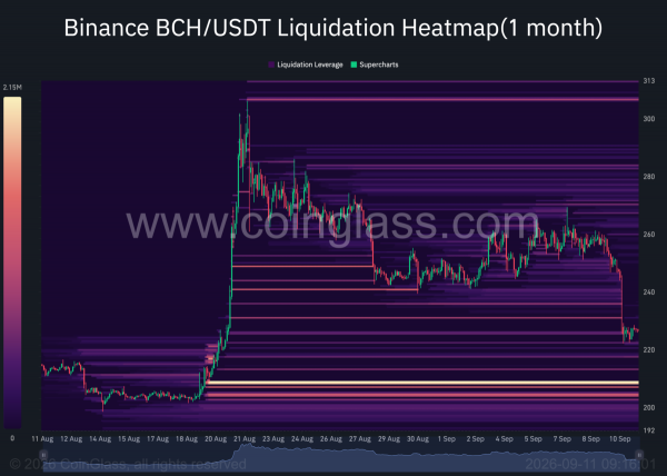 Analyzing Bitcoin Cash&rsquo;s 10% drop: What&rsquo;s next for BCH whales?
