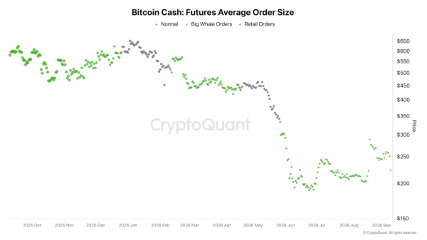 Analyzing Bitcoin Cash&rsquo;s 10% drop: What&rsquo;s next for BCH whales?