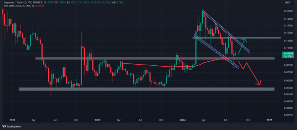 Dogecoin whale transfers 103 mln DOGE tokens: Sign of a bull run?