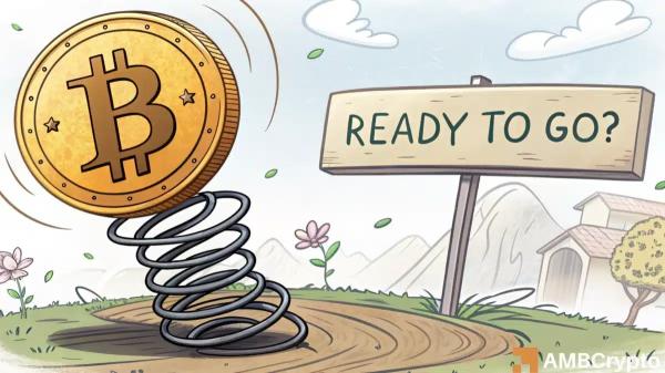 Bitcoin: Is 2025 setting the stage for big gains? – THIS metric says yes Bitcoin: Is 2025 setting the stage for big gains? – THIS metric says yes