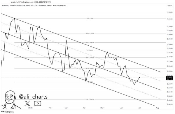Cardano whales are back! &ndash; Assessing how ADA can reach $0.91 next