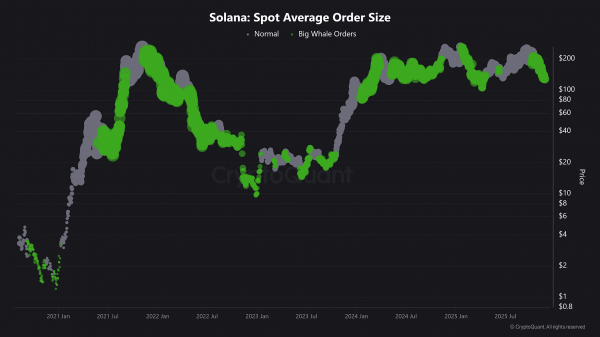 Solana&rsquo;s $219mln institutional loss sparks fear &ndash; Move to $170 depends on THIS